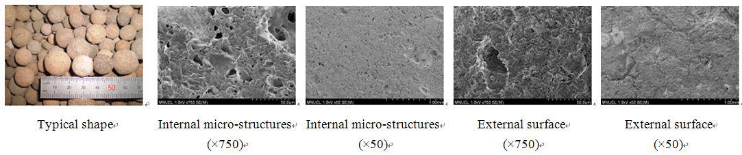 인공경량골재의 형상 및 SEM 이미지