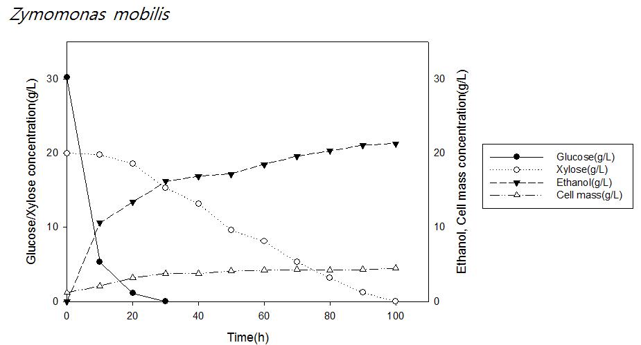Z . mobilis와 Glucose 30 g/L, Xylose 20 g/L를 발효시킨 결과 그래프
