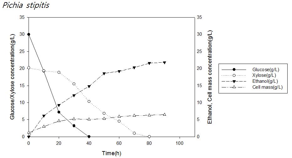 P . stipitis와 Glucose 30 g/L, Xylose 20 g/L를 발효시킨 결과 그래프