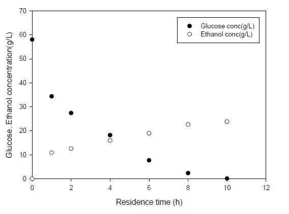 Glucose 60 g/L와 P .stipitis(0.003 g)을 immobilized cell channel reactor를 사용하며 발효시킨 결과