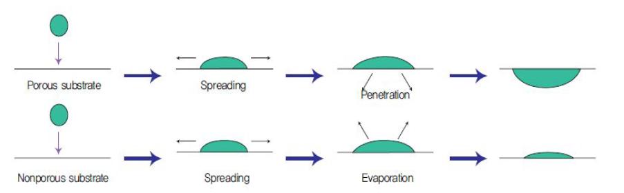 Porous/Nonporous 기판과 잉크 액적과의 상호 작용.