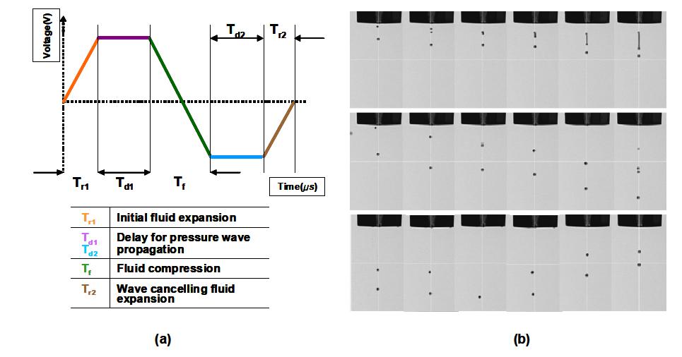 (a) 구동파형의 분석, (b) Td1/Td2 증가에 따른 분사 특성 비교
