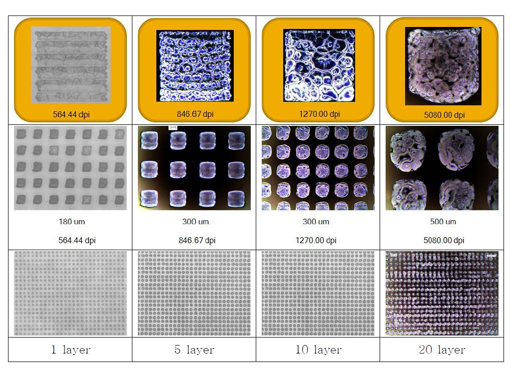 해상도 및 적층 횟수에 따른 프린팅 결과.
