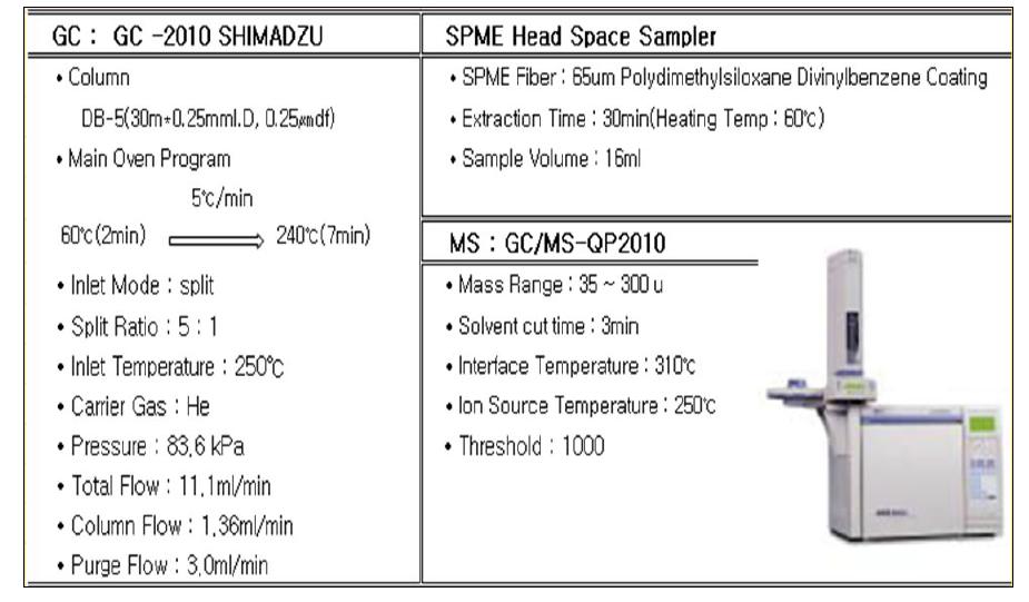 GC/MS 분석 조건