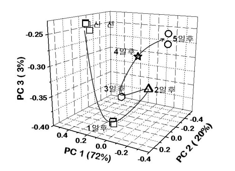 날짜 경과에 따른 우유의 주성분 분석 3차원 그래프.