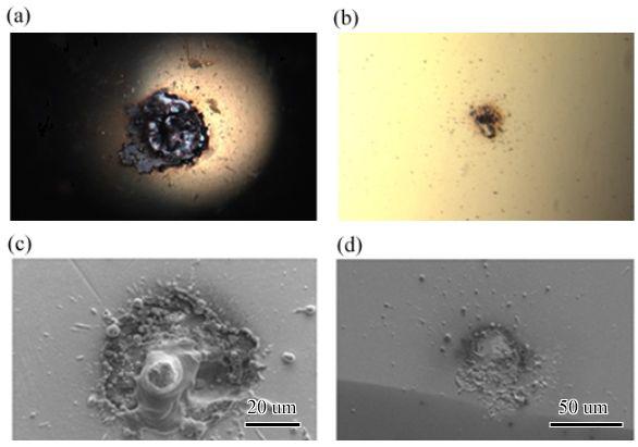Au-Au 접촉 광학현미경 이미지-(a) 볼팁의 표면 (b) 샘플 표면Au-Au 접촉 SEM 이미지-(c) 볼팁의 표면 (d) 샘플 표면