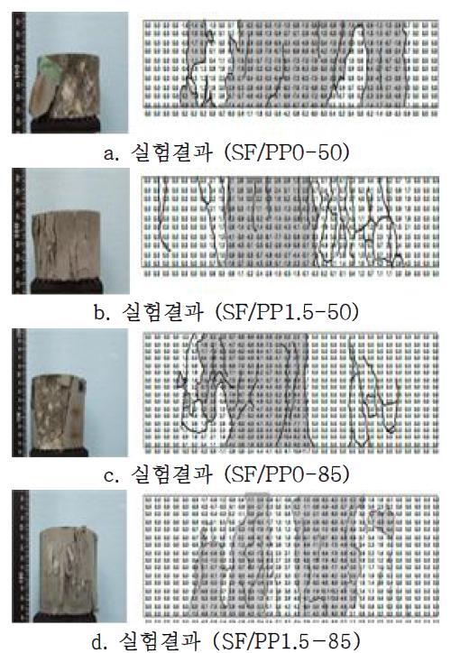 실험결과