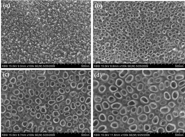 FE-SEM images of TiO2 nanotubes prepared by different anodic voltage. (a) 5 V; (b) 10 V;(c) 15 V; (d) 20 V.