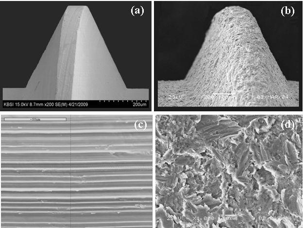 FE-SEM images of thread surfaces of hybrid type implant. (a) Machine-turned; (b)RBM-treated; (c) and (d) Magnification of (a) and (b), respectively (Χ 1.0 K).
