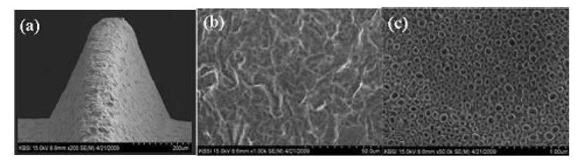 FE-SEM images of thread surface. (a) anodized after RBM treatment; (b) Magnification of(a) (Χ 1.0 K); (c) Magnification of (b) (Χ 50.0 K).