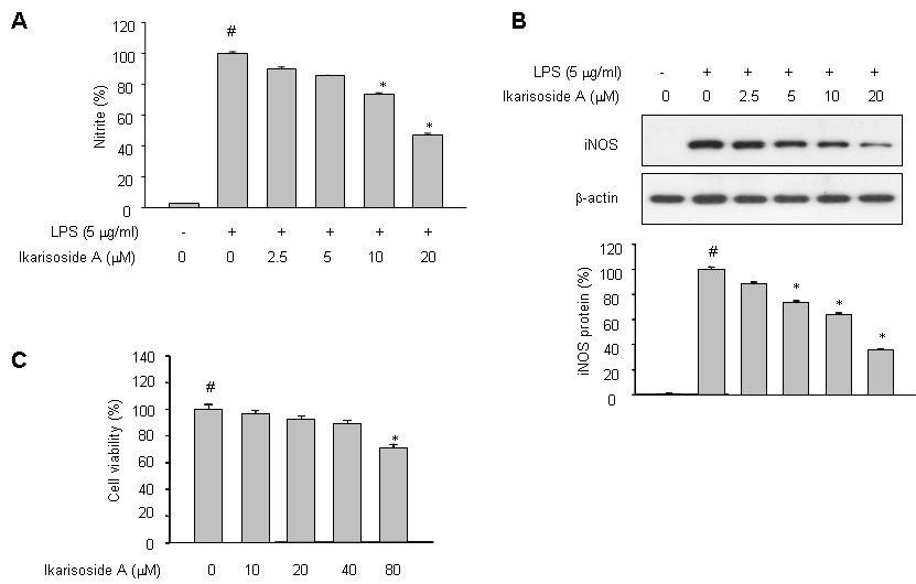 Effects of Ikarisoside A on the production of NO and iNOS in LPS-stimulated RAW 264.7cells.