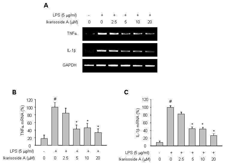 Effects of Ikarisoside A on the TNF and IL-1 transcription in the LPS-stimulated RAW264.7 cells.