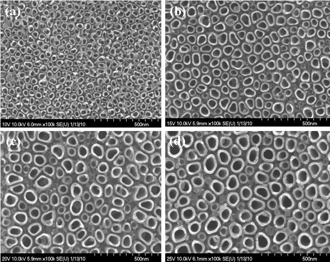 FE-SEM images of the surface of nanotubular TiO2 layer in Ti-6Al-4V alloy, which wereanodized at different voltages. (a) 10 V; (b) 15 V; (c) 20 V; (d) 25 V.