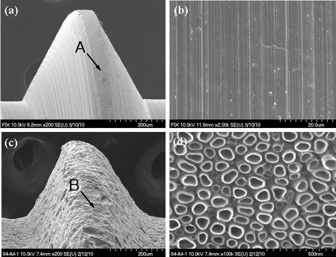 FE-SEM images of implants, which were made from Ti-6Al-4V alloy. (a)machine-turned; (b) magnification of point A (×2K); (c) RBM-treated and anodized; (d) magnification of point B (×100K).