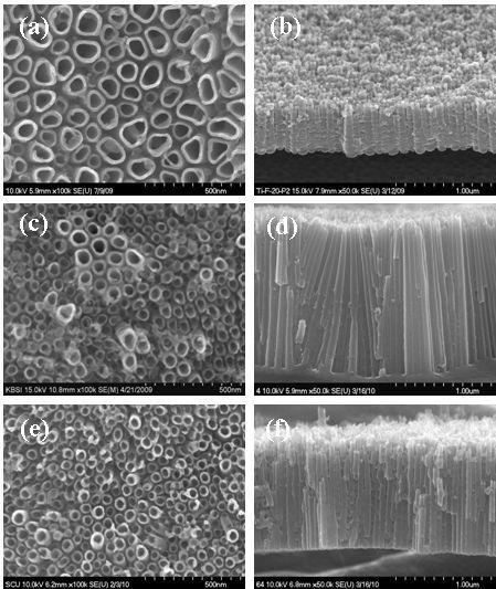 FE-SEM images of top and cross-sectional view of nanotubular TiO2 layer formed at 20 V for 1 h in glycerol solution containing 20 wt% H2O and 1 wt% NH4F. (a) and (b) pure Ti, (c) and (d) Ti-29Nb-4Mo-0.6Zr alloy, (e) and (f) Ti-32Nb-5Zr alloy.