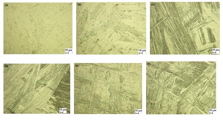 Optical micrographs of specimens in this study.(a)Ti-2Zr, (b)Ti-4Zr, (c)Ti-6Zr, (d)Ti-8Zr,(e)Ti-10Zr (f)Ti-12Zr
