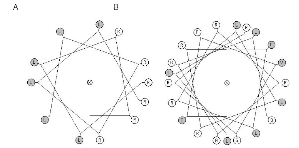 3개의 α-helical RLLR repeats의 helical wheel diagram(A)과 buforin IIb의 helicalwheel diagram(B). hydrophobic한 잔기와 hydrophilic한 잔기가 골고루 분포된 나선구조를 이루고 있음.