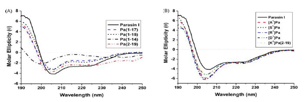parasin과 유도체 펩타이드들의 Circular Dichroism(CD) 분석