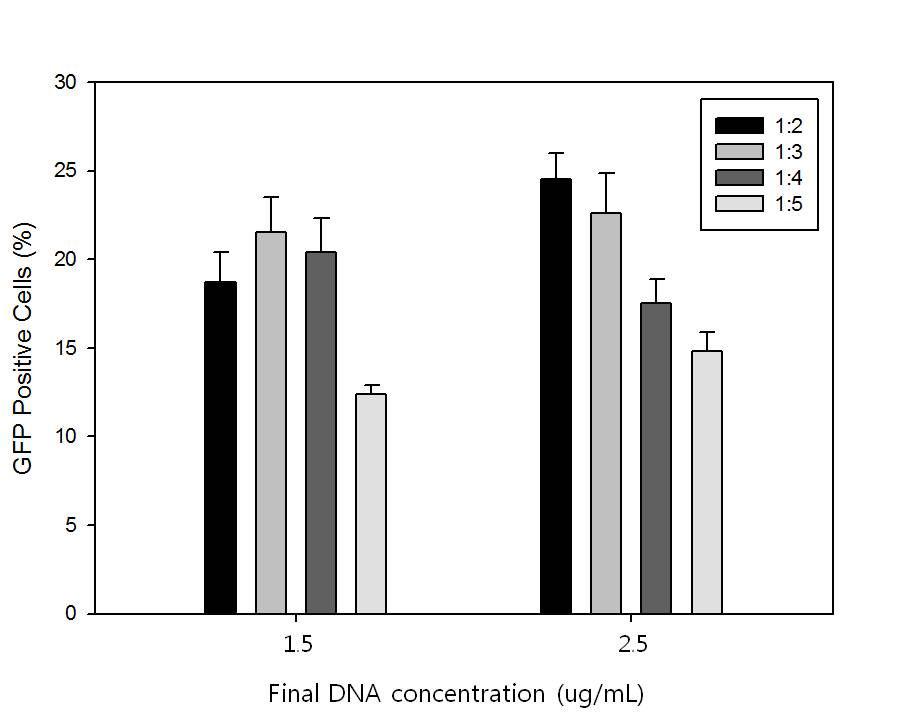 HEK293E 세포에서의 DNA 농도와 DNA:PEI 비율에 따른 트랜스펙션 효율