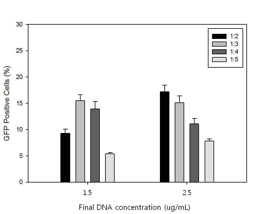 CHO DG44 세포에서의 DNA 농도와 DNA:PEI 비율에 따른 트랜스펙션 효율