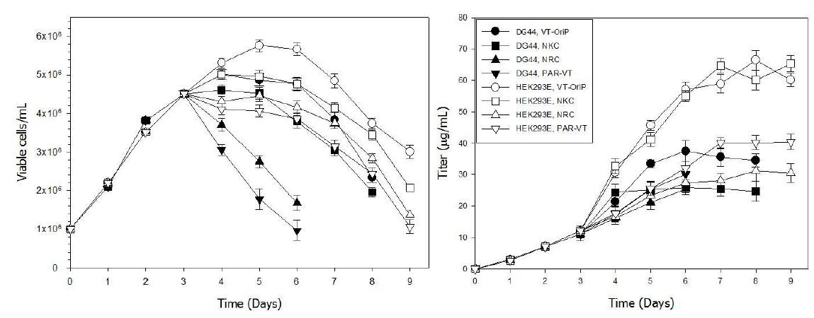 CHO DG44, HEK293E 세포의 생장 곡선과 펩타이드 생산량