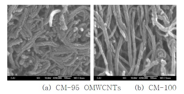 산화 다중벽 탄소나노튜브의 SEM사진