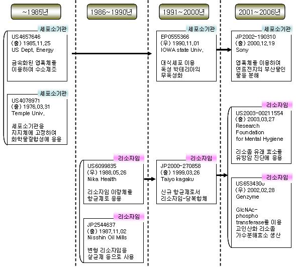 세포소기관 세부 기술흐름도