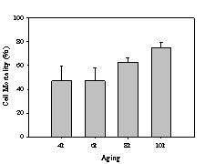 BAEC의 나이에 따른 리소좀의 항균활성 분석