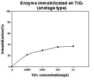 Anatage 형태의 TiO2의 lysosomal enzymes 고정화 효율