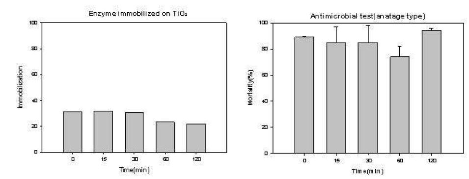 Anatage 형태의 TiO2의 lysosomal enzymes의 고정시간별 고정율 및 이에 대한 항균력