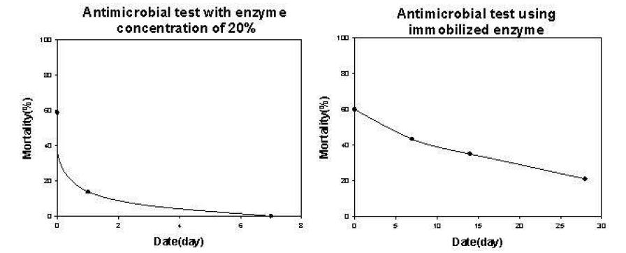 TiO2에 고정화된 lysosomal enzymes과 free enzymes의 항균활성의 지속성