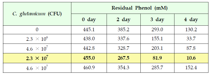 페놀분해에 가장 뛰어난 C. glutamicum에 개체수