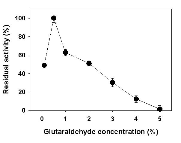 Glutaraldehyde 농도에 따른 효소 고정률 및 고정화 된 효소의 활성