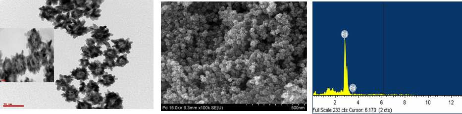 팔라듐 중공 나노입자의 TEM, FE-SEM 및 SEM-EDX 이미지
