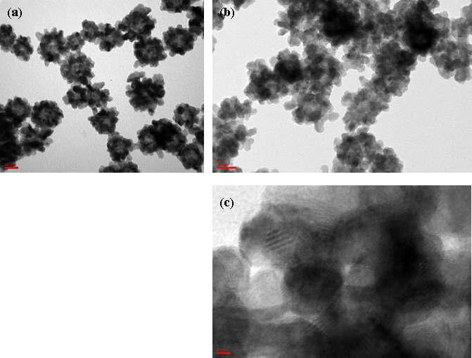 다성분계 중공 나노입자의 TEM 이미지;(a) 백금/팔라듐, (b)백금/구리/팔라듐, (c) 백금/팔라듐 중공나노입자의 HR-TEM 이미지