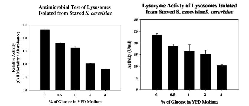 YPD배지의 glucose양을 조절하여 S. cerevisiae내의 리소좀의 항균활성과 lysozyme의 활성