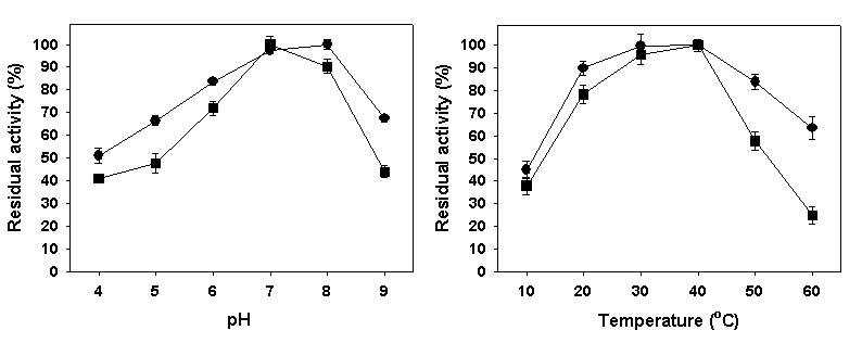 비고정화 lipase 효소와 고정화 lipase 효소 활성에 pH와 온도가 미치는 영향