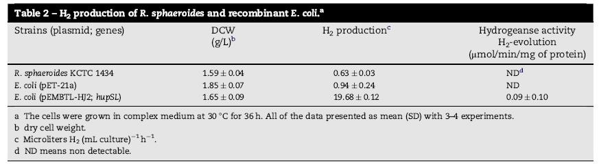 재조합 E. coli와 R. sphaeroides의 수소 생산량 비교