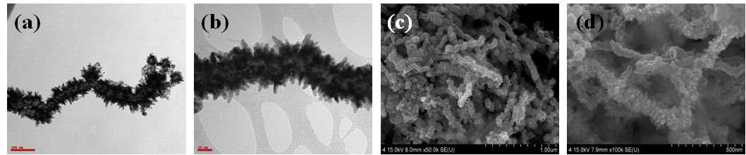 팔라듐 나노튜브의 TEM 이미지(a, b)와 SEM 이미지(c, d)