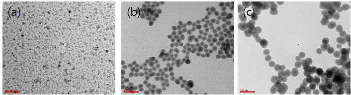 Magnetite 나노입자의 TEM 이미지