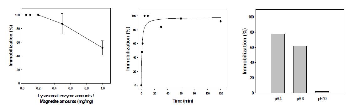 마그네타이트에 라이소소멀 엔자임의 고정을 위한 비율, 시간, pH에 따른 고정화 확인