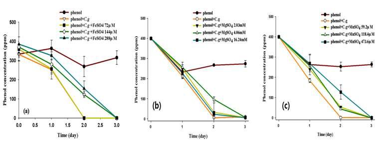 미네랄 첨가에 따른 C. glutamicum의 페놀 분해 효율