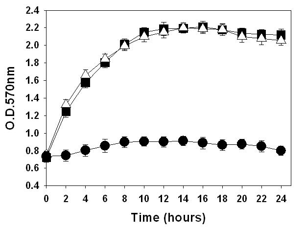 고정화 lysozyme 첨가에 따른 S. aureus의 세포성장곡선