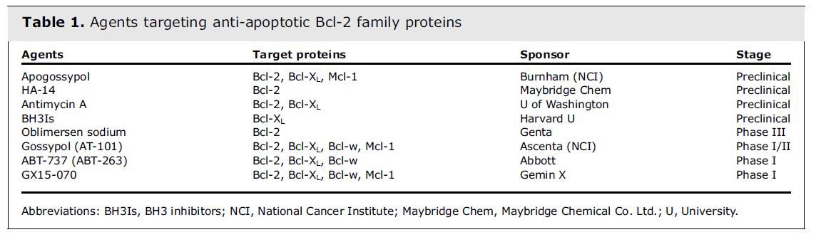 전임상이나 임상단계에 있는 Bcl-2 를 표적으로 하는 저해제