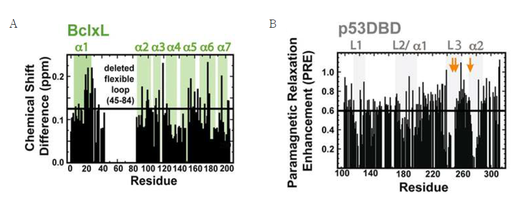 (A) Wild type p53 DBD 에 의한 Bcl-XL 의 NMR chemical shift perturbation. (B) MTSL 표지된 Bcl - XL 결합에 의한 wild type p53 DBD 의 NMR chemical shift perturbation.