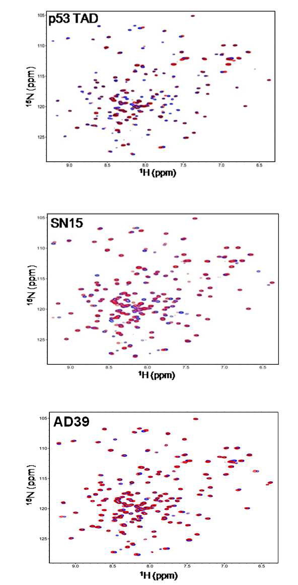 p53 TAD 결합에 의한 Bcl-2 단백질의 NMR chemical shift perturbation.