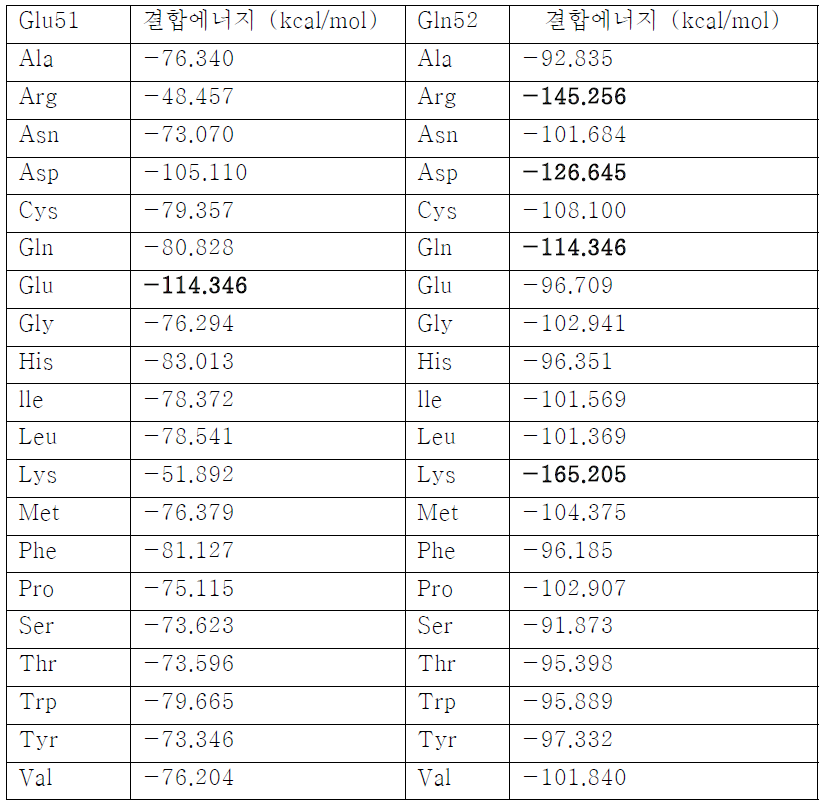 Glu51 및 Gln52 잔기에 mutation을 도입한 AD39 펩티이드 analog 와 Bcl -2 간 결합에너지