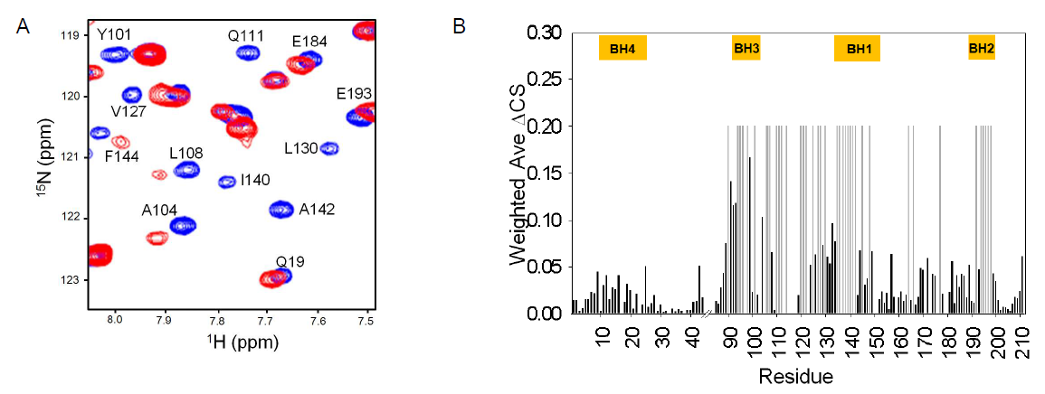 PMI 펩타이드 analog 결합에 의한 Bcl-XL 단백질의 NMR chemical shift perturbation.