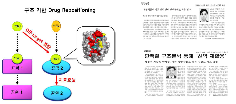 본 연구진에서 처음 제안하는 구조 기반 drug repositioning 의 개념 (좌)과 관련 언론 보도자료 (우) [경향신문 및 디지털타임스 2011년 1월 11일자]