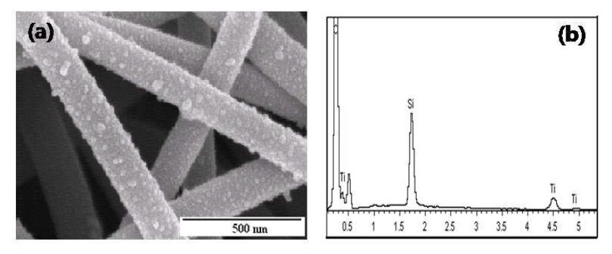 (a) 광촉매가 코팅된 탄소나노 섬유의 전자현미경 사진, (b) 에너지 분산형 X선 분광기 (EDX)의 그래프